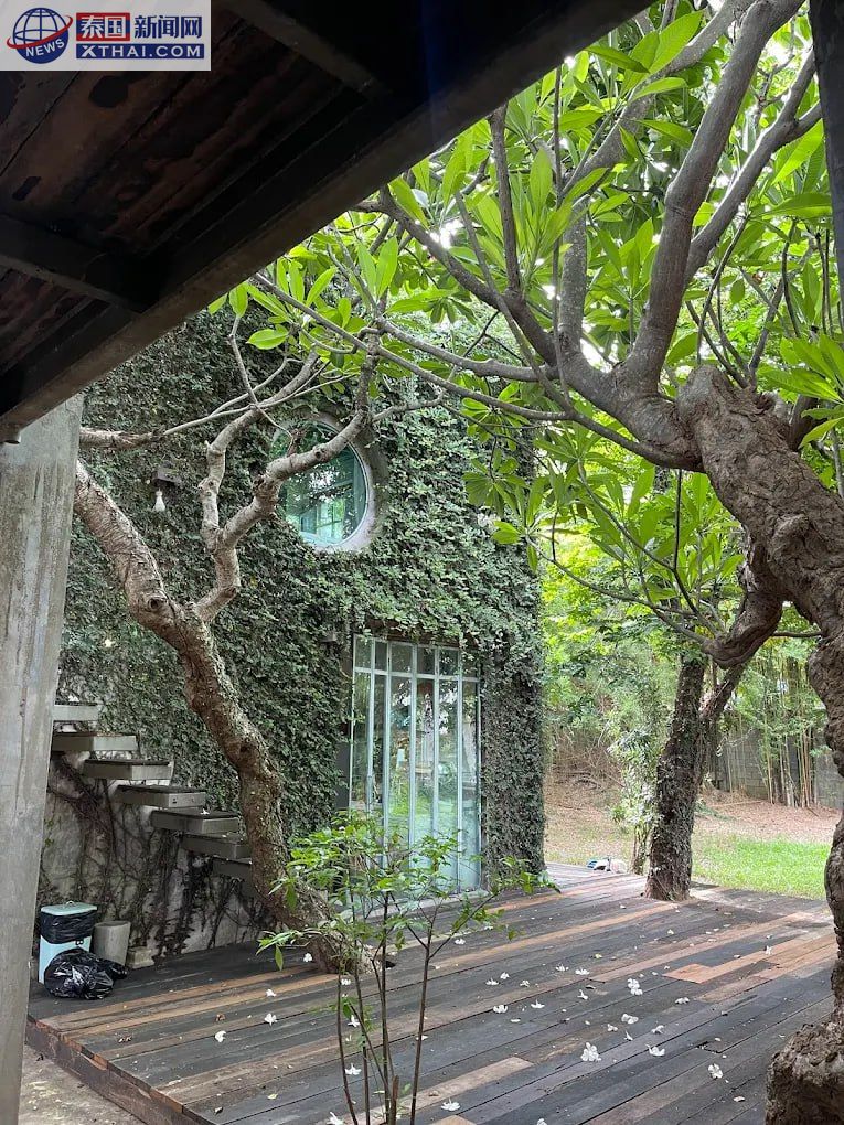 Hern's Studio 陶艺课程，游客体验拉胚