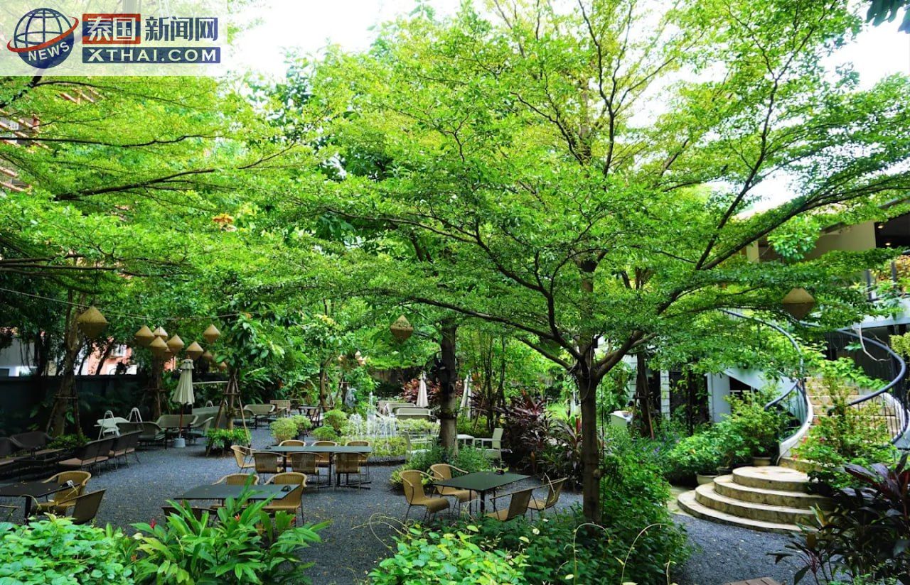 The Gardens of Dinsor Palace的三文鱼班尼迪克蛋