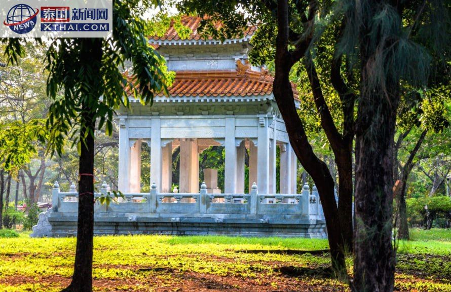 伦披尼公园湖景，展示曼谷的绿色绿洲