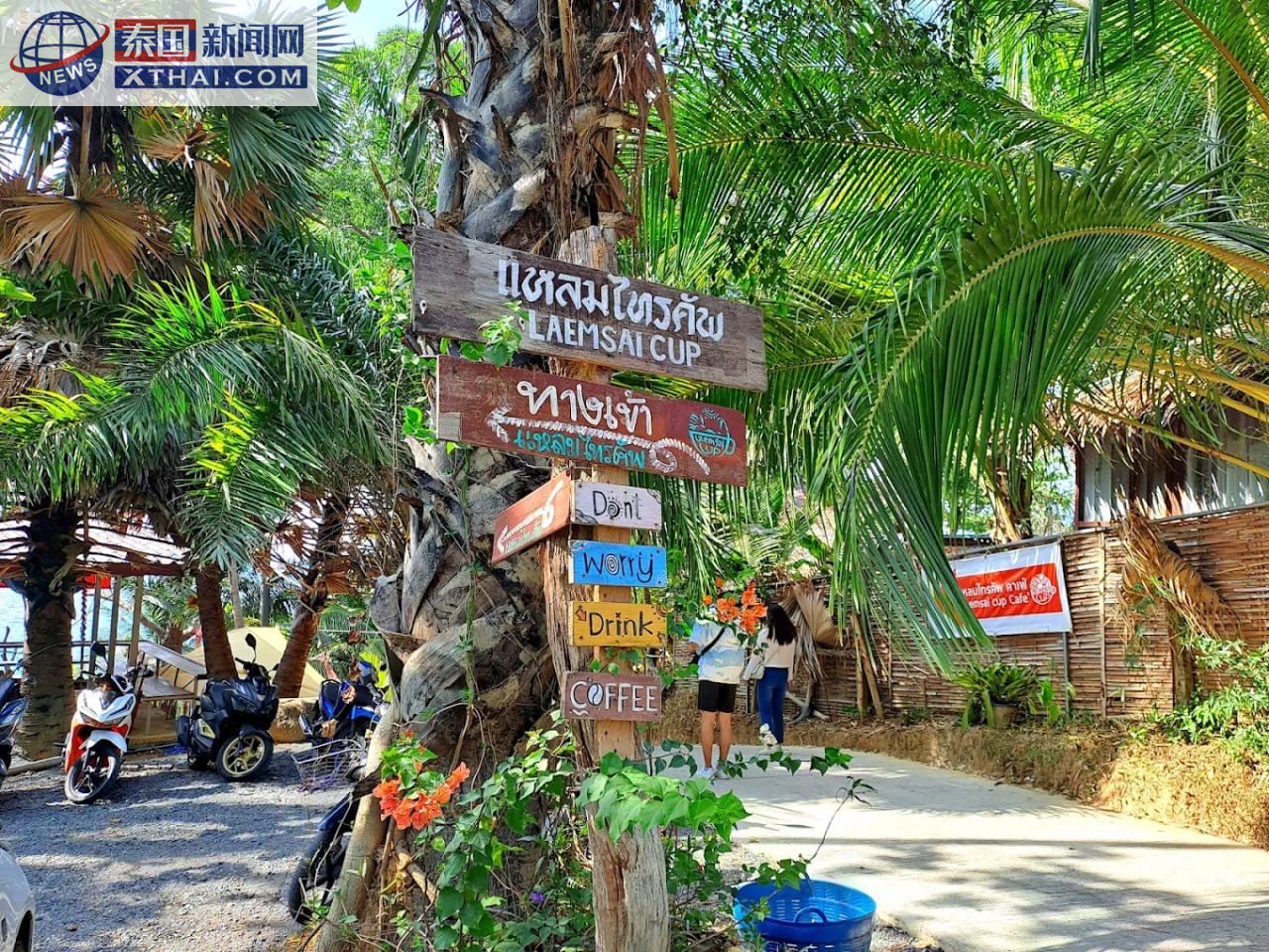 椰子芝士蛋糕，Laem Sai Cup Café 的甜点亮点