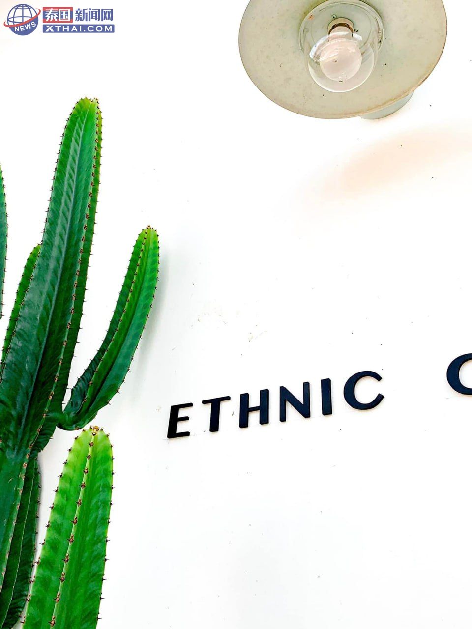 Ethnic Coffee Slow Bar 的花园区,适合拍照