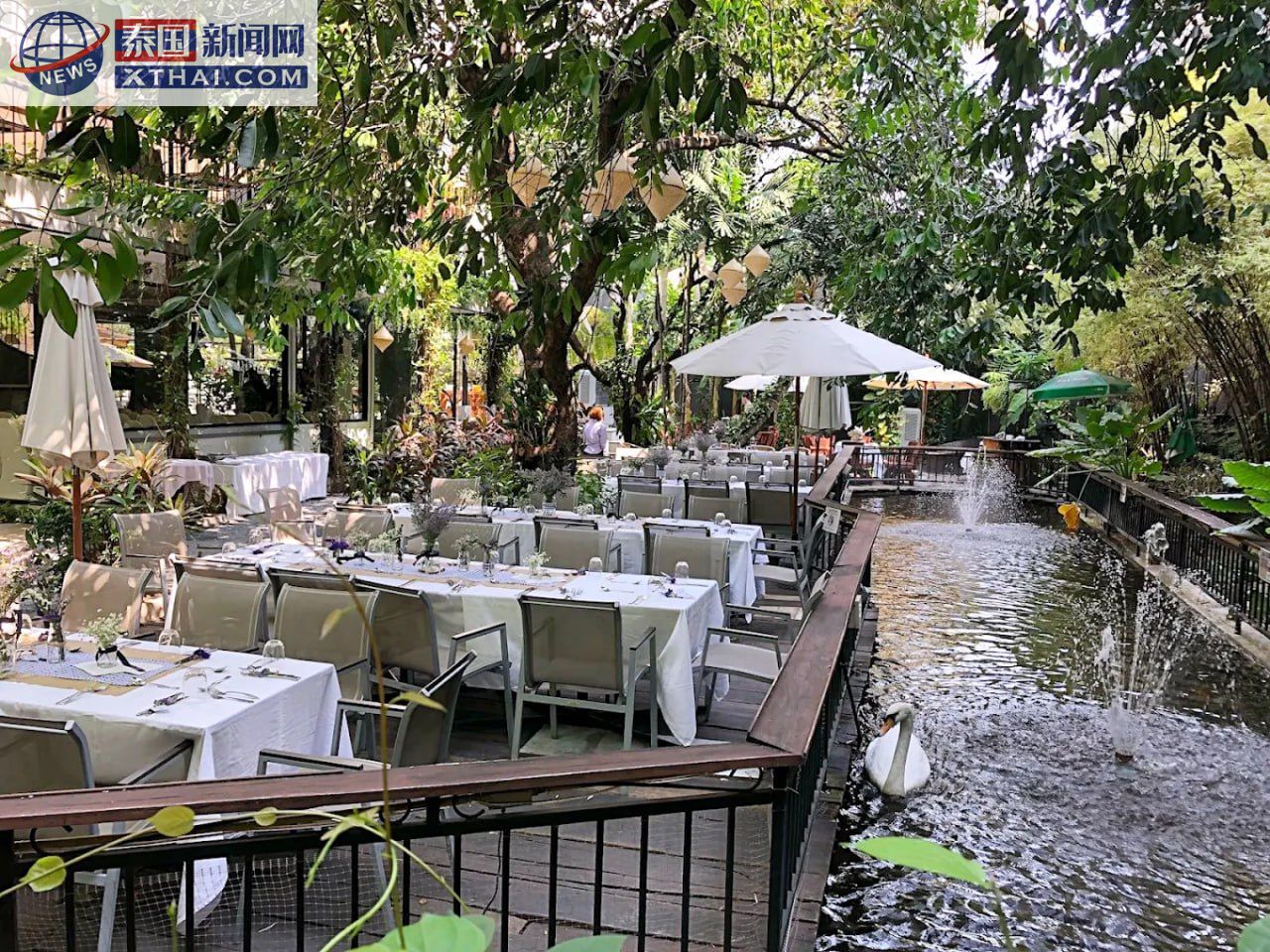 The Gardens of Dinsor Palace户外花园，天鹅与绿色植被