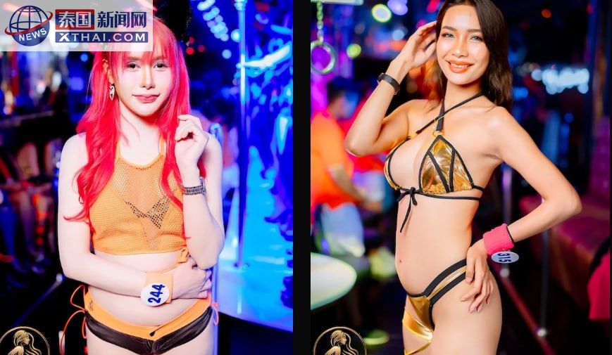 Dragon Gogo 钢管舞舞台，火辣表演氛围