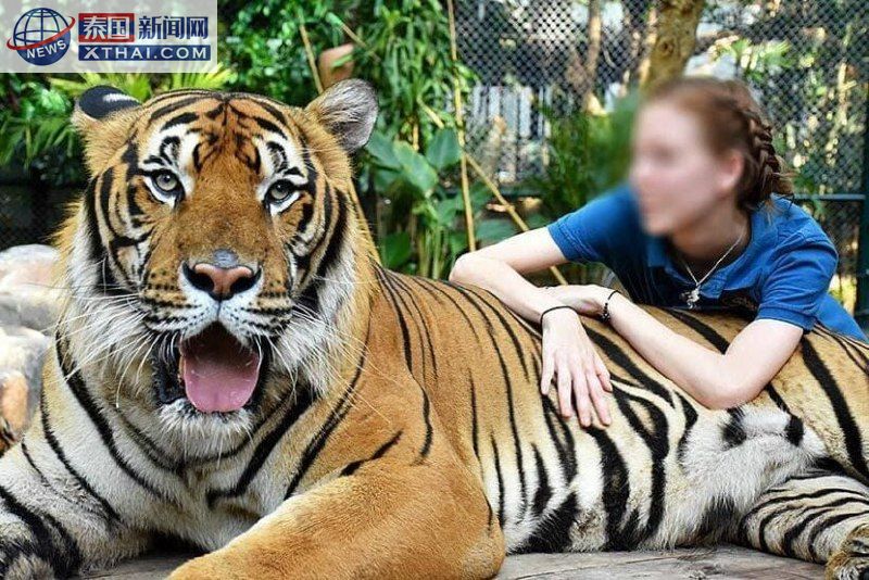 泰国动物园的动物笼舍