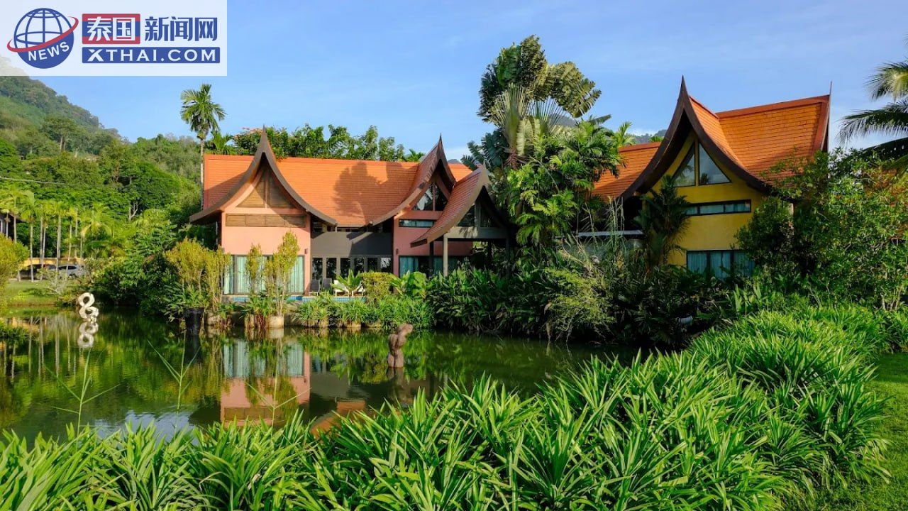 塔兰湾皮划艇探秘红树林