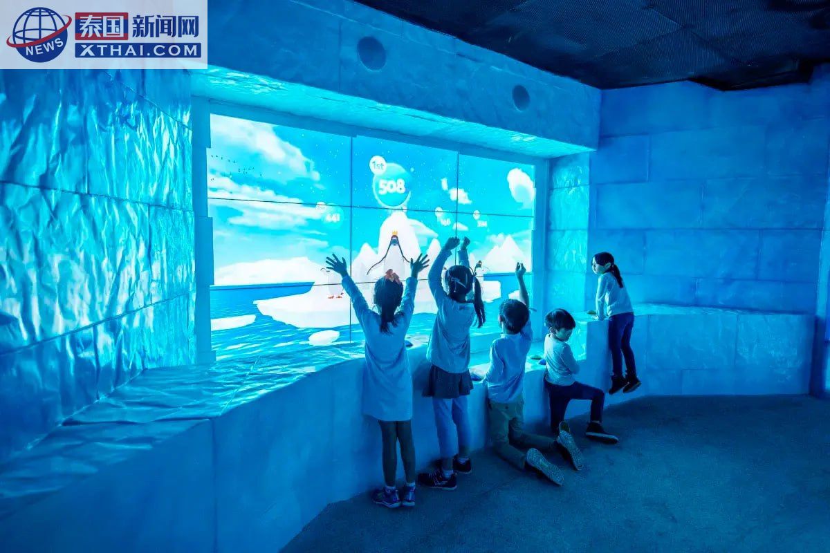 曼谷暹罗海洋世界:潜入东南亚最大水族馆的奇幻海底 曼谷暹罗海洋世界:潜入东南亚最大水族馆的奇幻海底