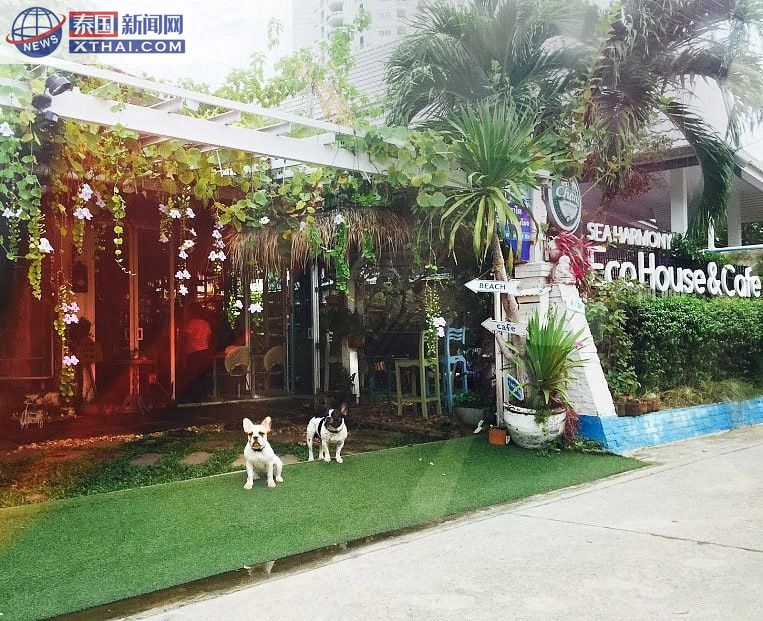 Turtle Bay Hua Hin Eco Luxe 餐厅外观与莲花池