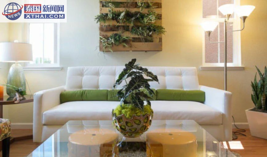 泰国住宅室内植物装饰