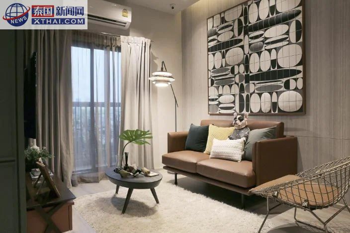 芭堤雅宠物友好型公寓宣传图2