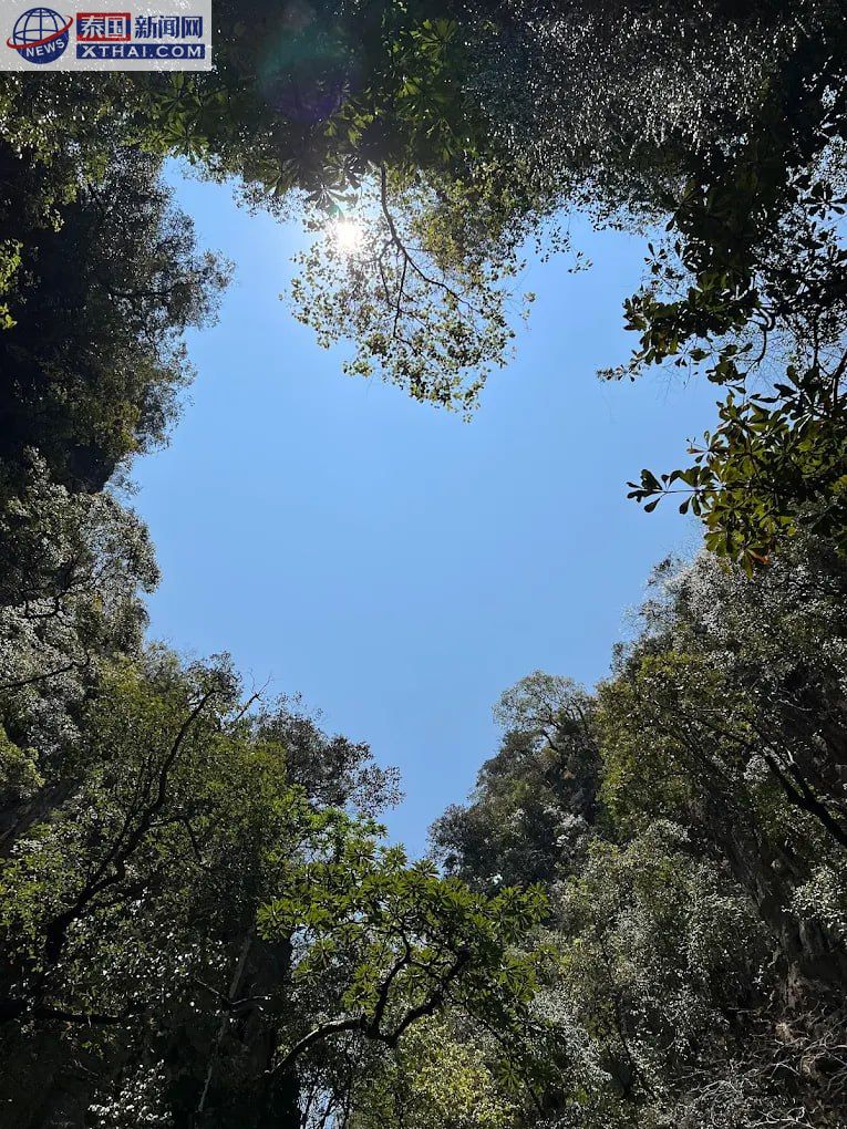 詹姆斯·邦德岛附近的泰式海鲜浮动餐厅